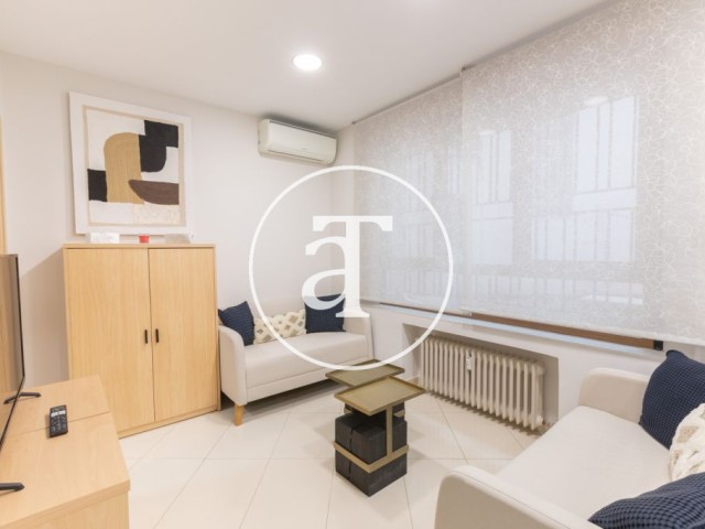 Monthly rental apartment with 4 bedrooms and 2 bathrooms in El Viso - Chamartin