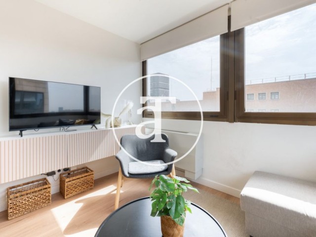 Monthly rental apartment with 1 bedroom and 1 bathroom in Chamberí, very close to Nuevos Ministerios station.