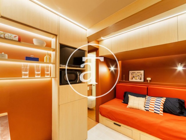 Monthly rental studio with 1 bedroom and 1 bathroom in the center of Madrid