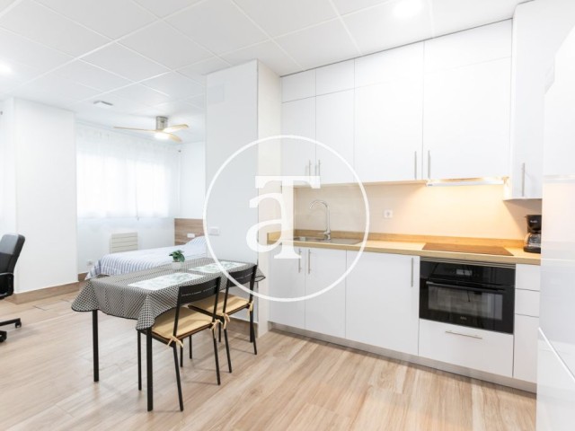 Estudio de alquiler temporal de 1 habitación y 1 baño en Latina