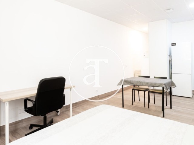 Studio 1 chambre, 1 salle de bain en location temporaire à Latina