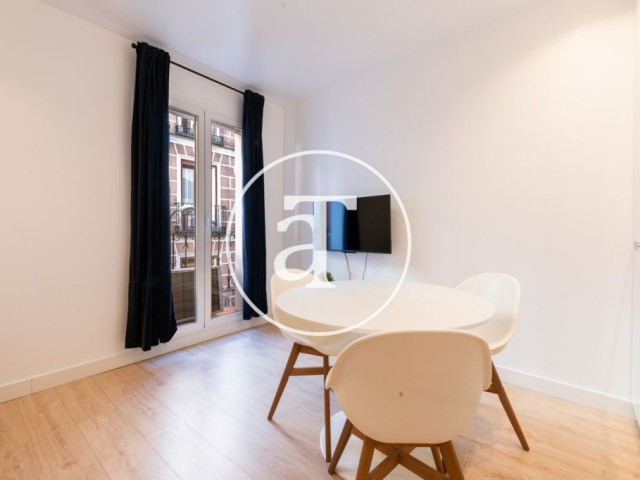 Monthly rental apartment with 1 bedroom, balcony and 1 bathroom in Malasaña