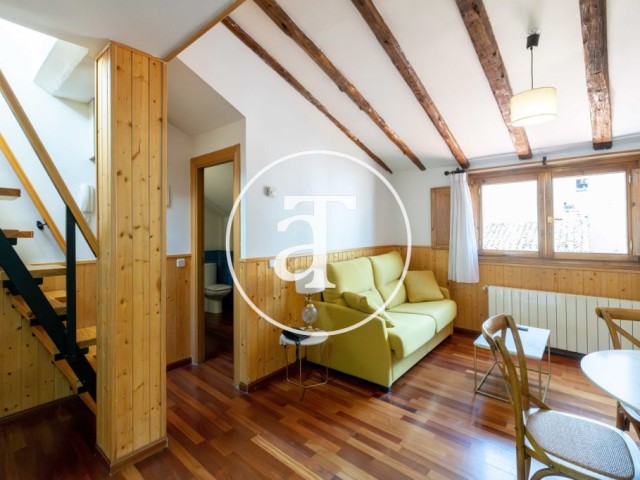 Monthly rental Penthouse with 1 bedroom and 1 bathroom with large terrace near Opera House