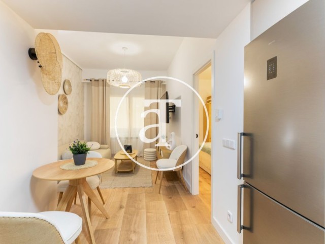 Piso de alquiler temporal de 1 habitación y 1 baño en pleno centro de Madrid